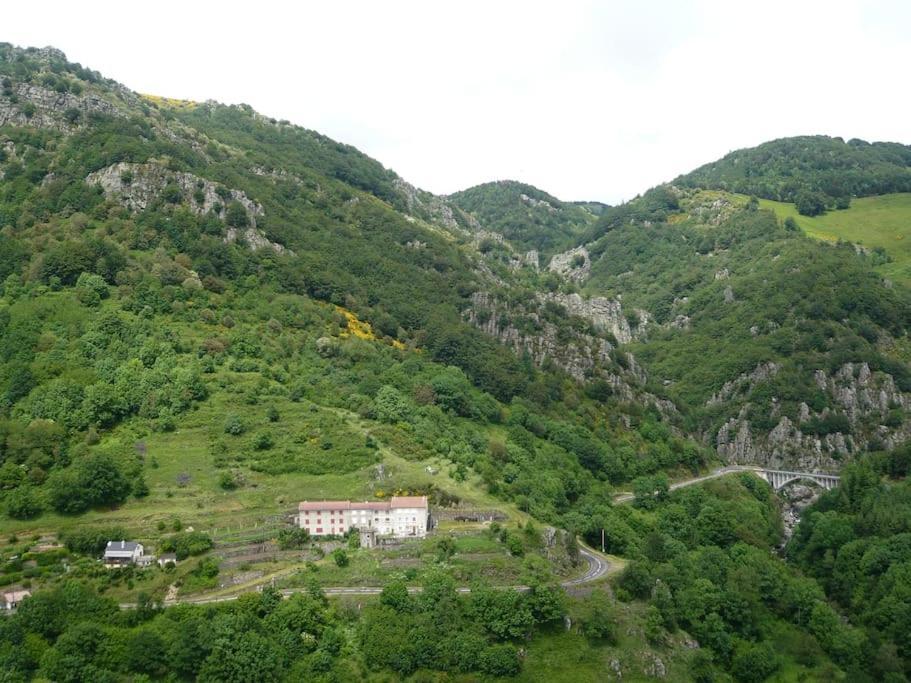 Gite De Noe Au Ray-Pic Pereyres Exteriör bild
