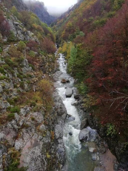 Gite De Noe Au Ray-Pic Pereyres Exteriör bild