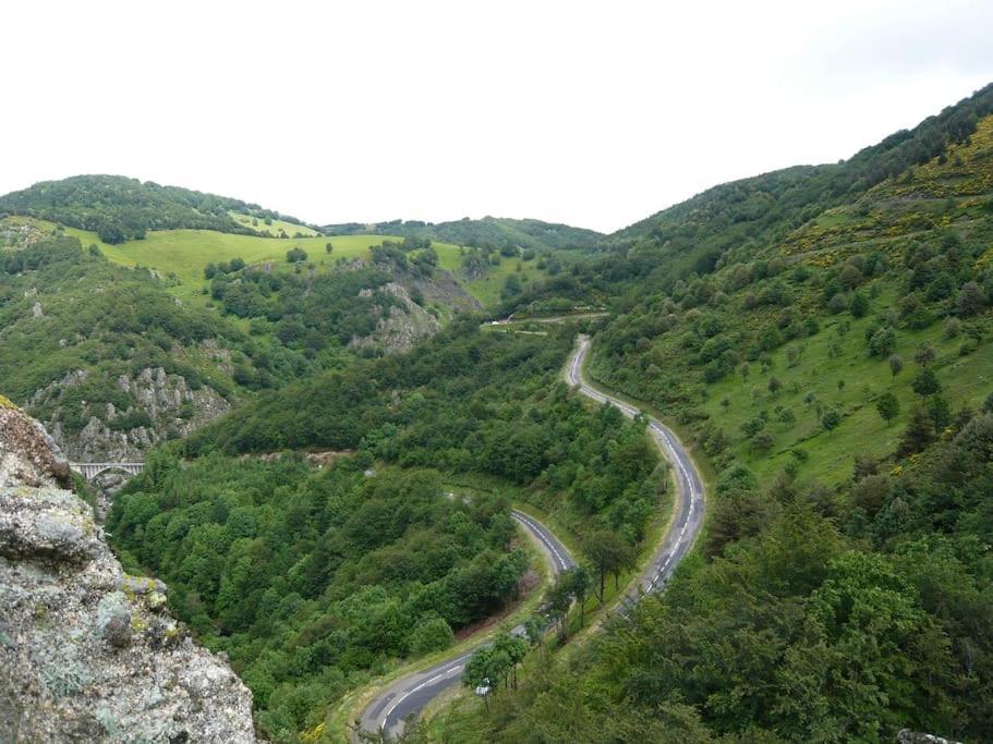 Gite De Noe Au Ray-Pic Pereyres Exteriör bild