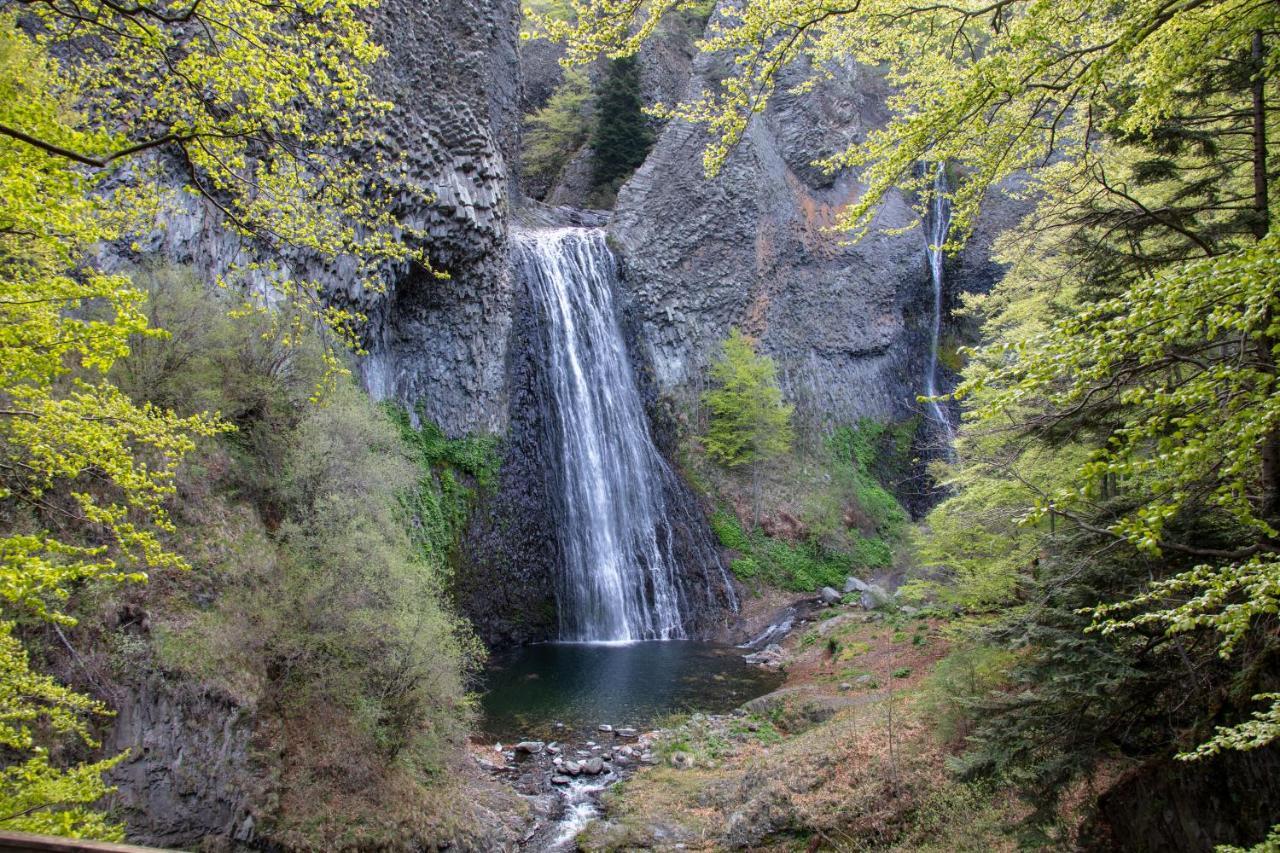Gite De Noe Au Ray-Pic Pereyres Exteriör bild