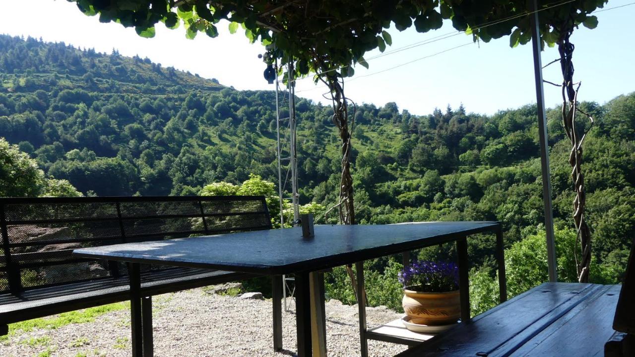 Gite De Noe Au Ray-Pic Pereyres Exteriör bild