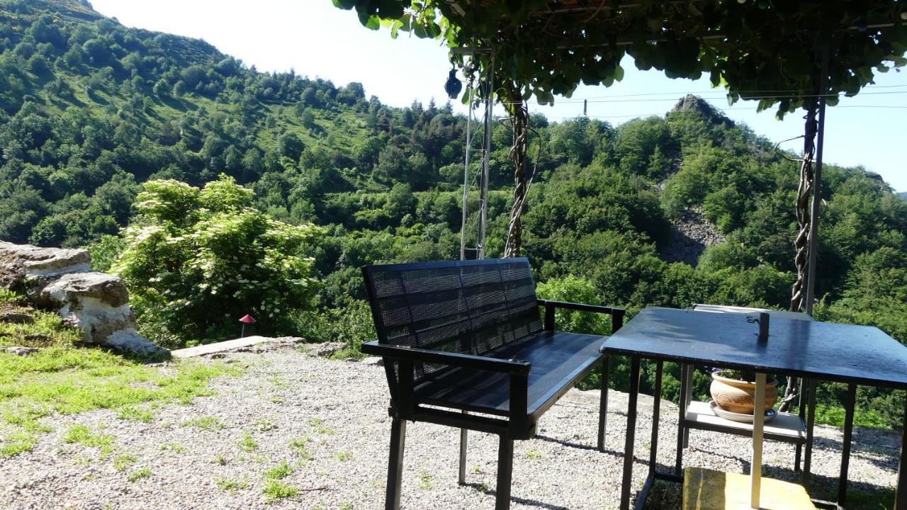 Gite De Noe Au Ray-Pic Pereyres Exteriör bild