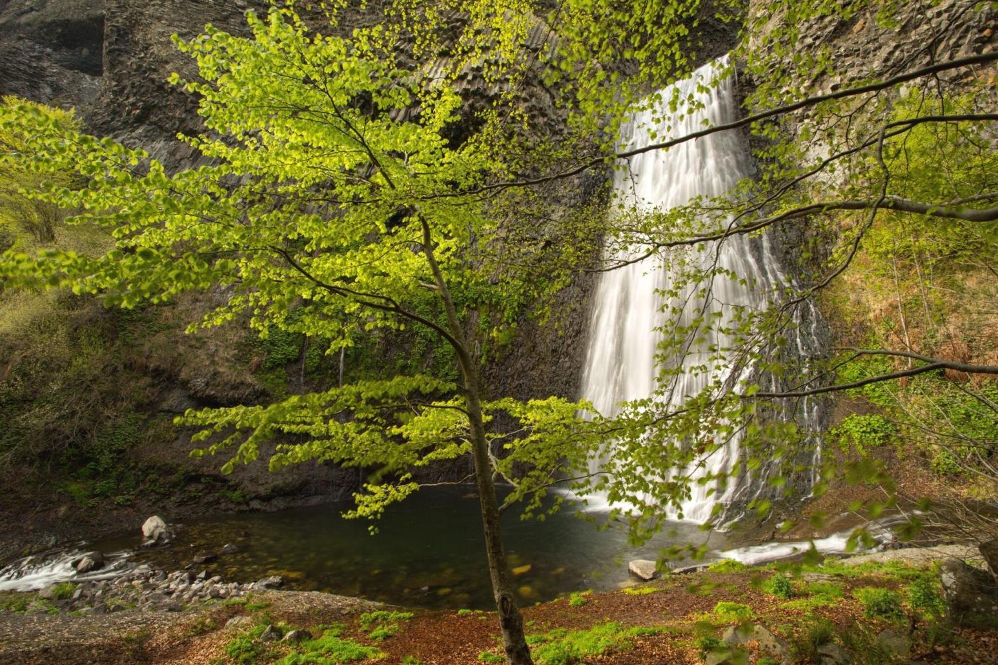 Gite De Noe Au Ray-Pic Pereyres Exteriör bild